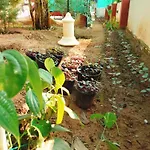 The Ixora - A Boutique Homestay