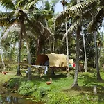 The Temple Tree Varkala