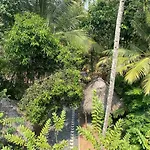 Tattwamasi Ayuryoga With Breakfast And Yoga