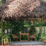 Tattwamasi Ayuryoga With Breakfast And Yoga