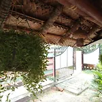 Mango Palace