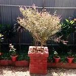 Deauvill Home Stay
