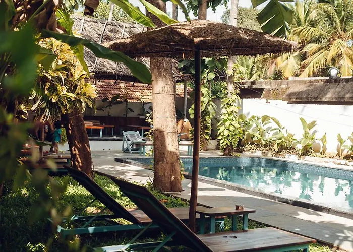 Paddlecult Surf Retreat
