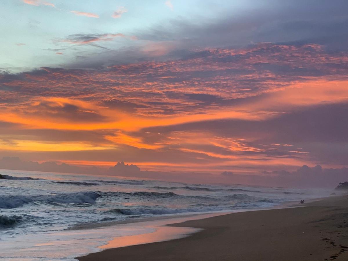Tattwamasi Ayuryoga With Breakfast And Yoga * Varkala