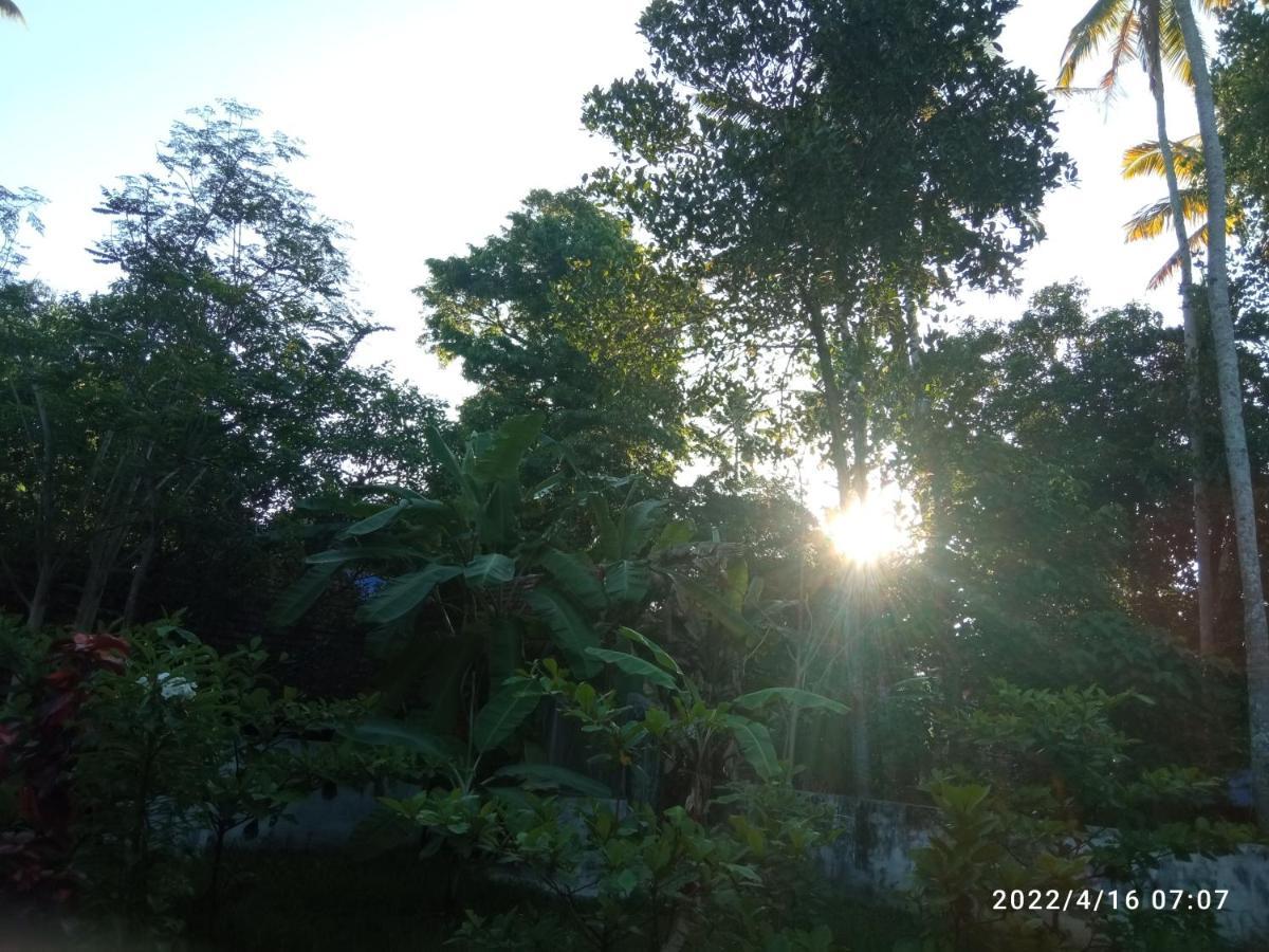 Devi Kripa Residency Homestay