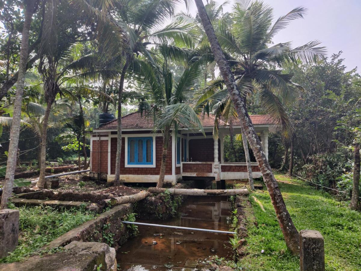 The Temple Tree Apartment Varkala