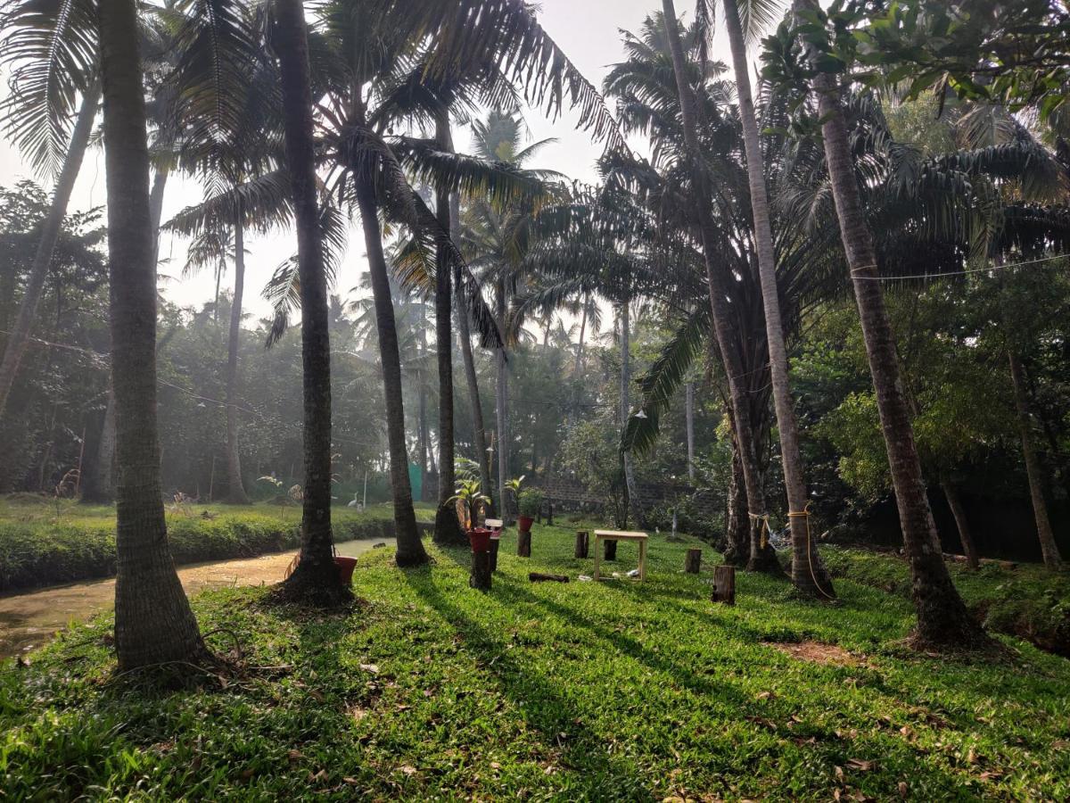 The Temple Tree * Varkala