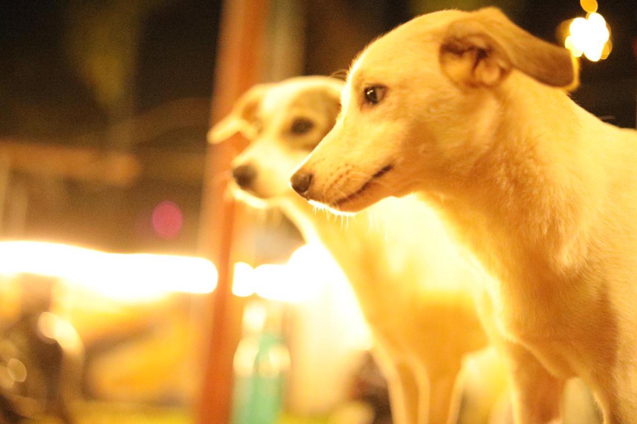 Hostel Hostelexp, - A Beach Town Varkala