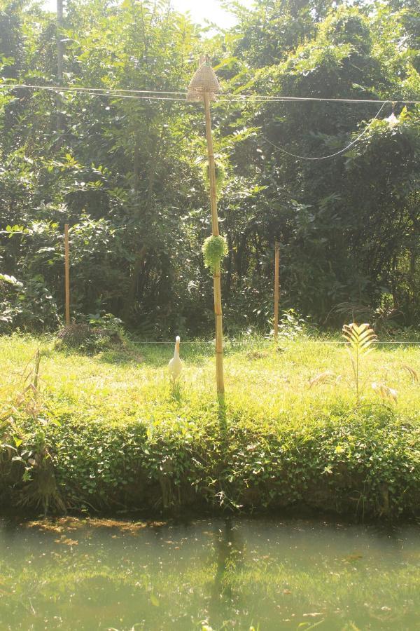 The Temple Tree * Varkala