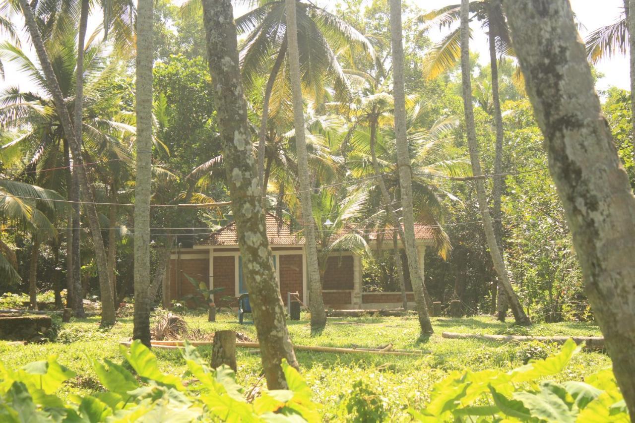 The Temple Tree Apartment *