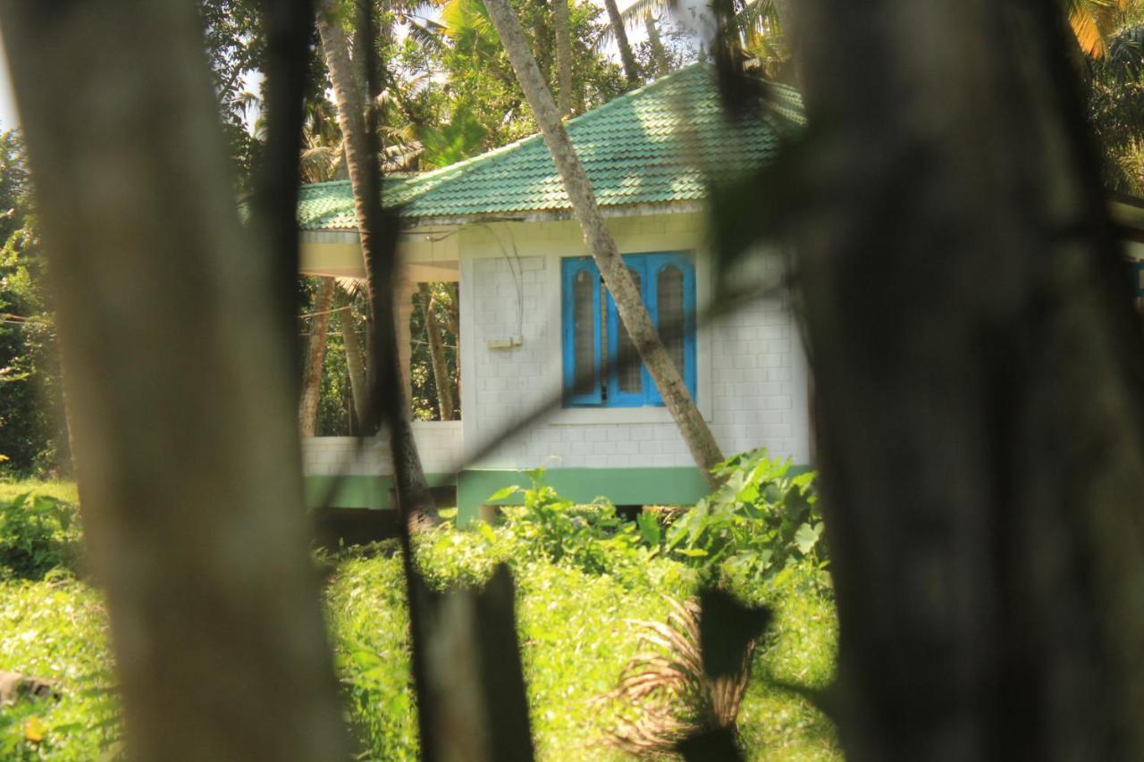 The Temple Tree Apartment