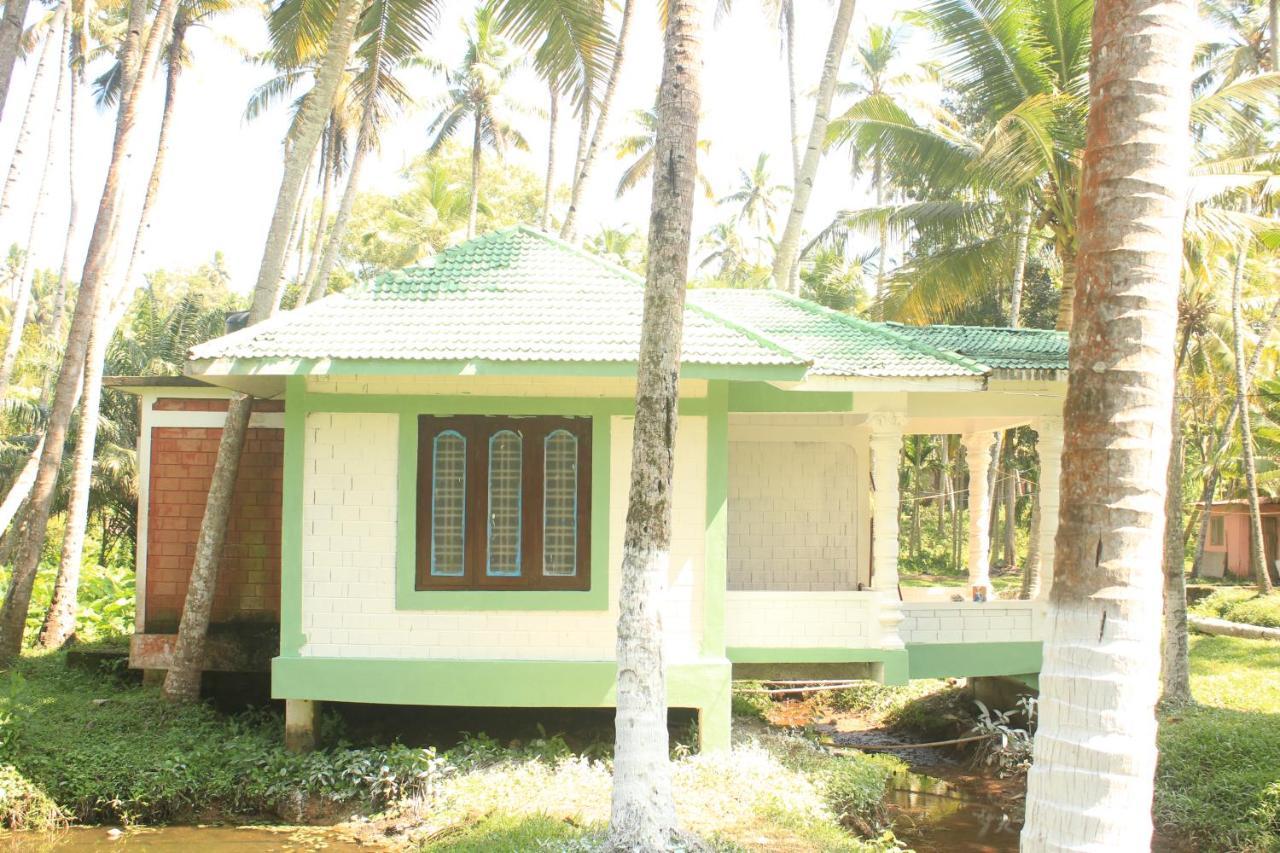 The Temple Tree Varkala