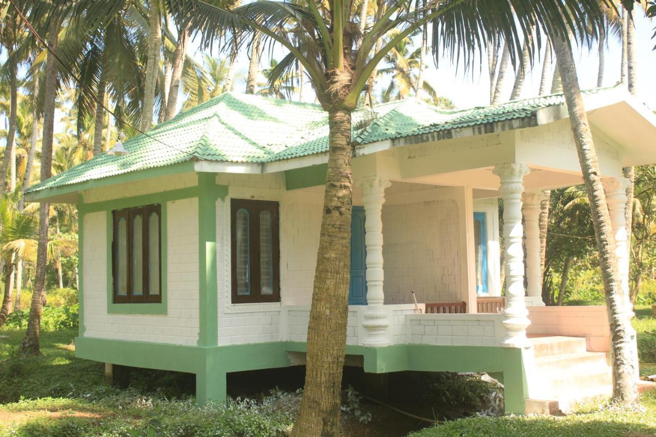 The Temple Tree * Varkala