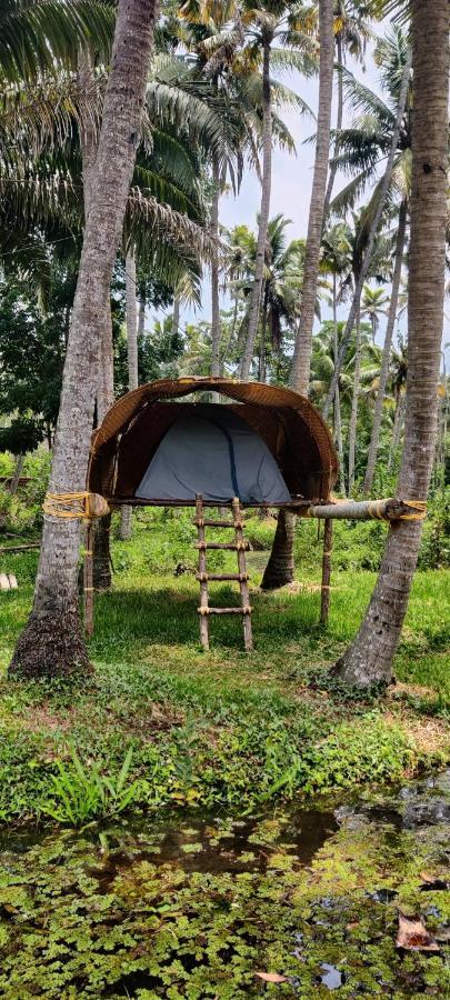 The Temple Tree Apartment Varkala