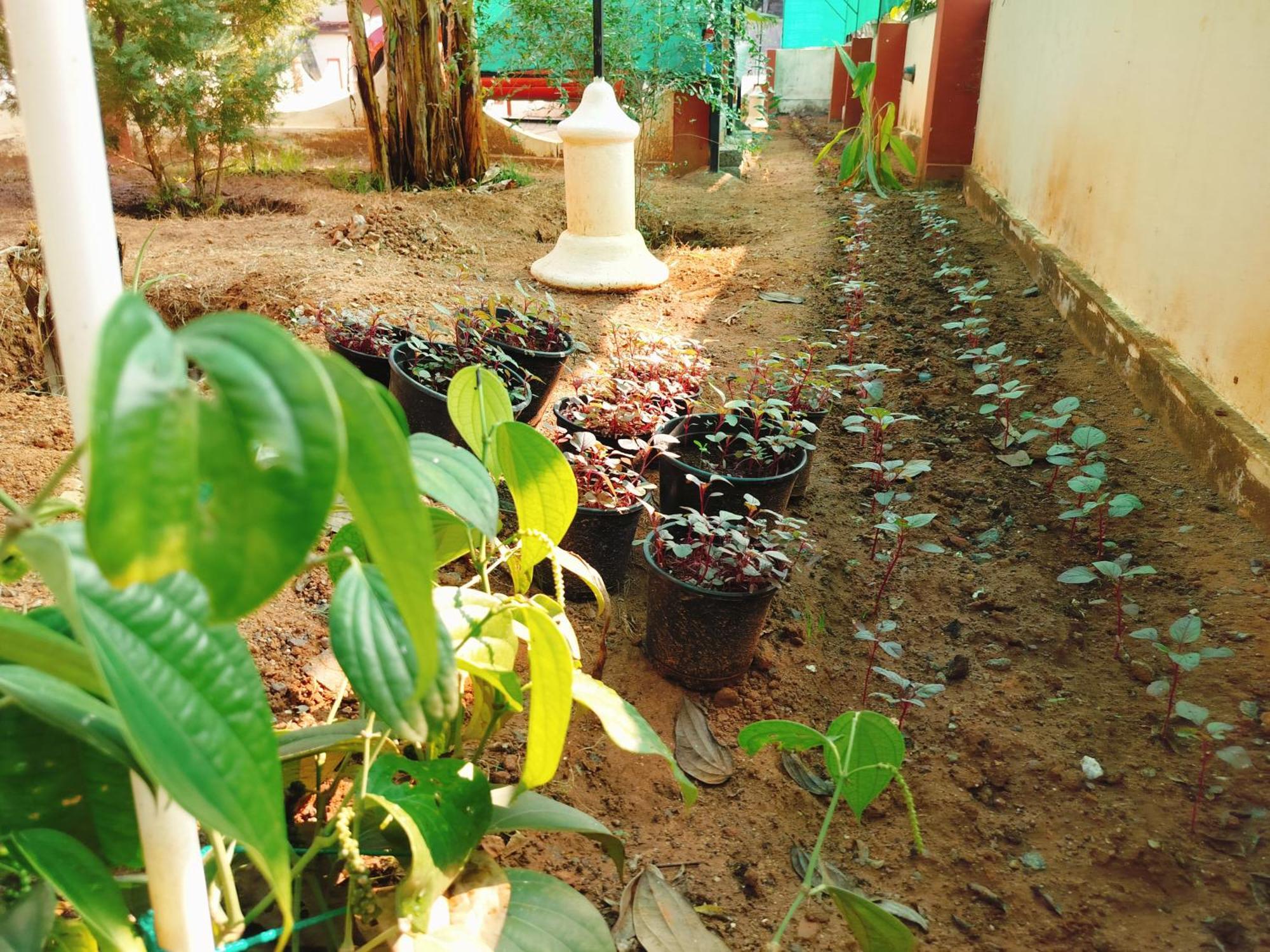 The Ixora - A Boutique * Varkala