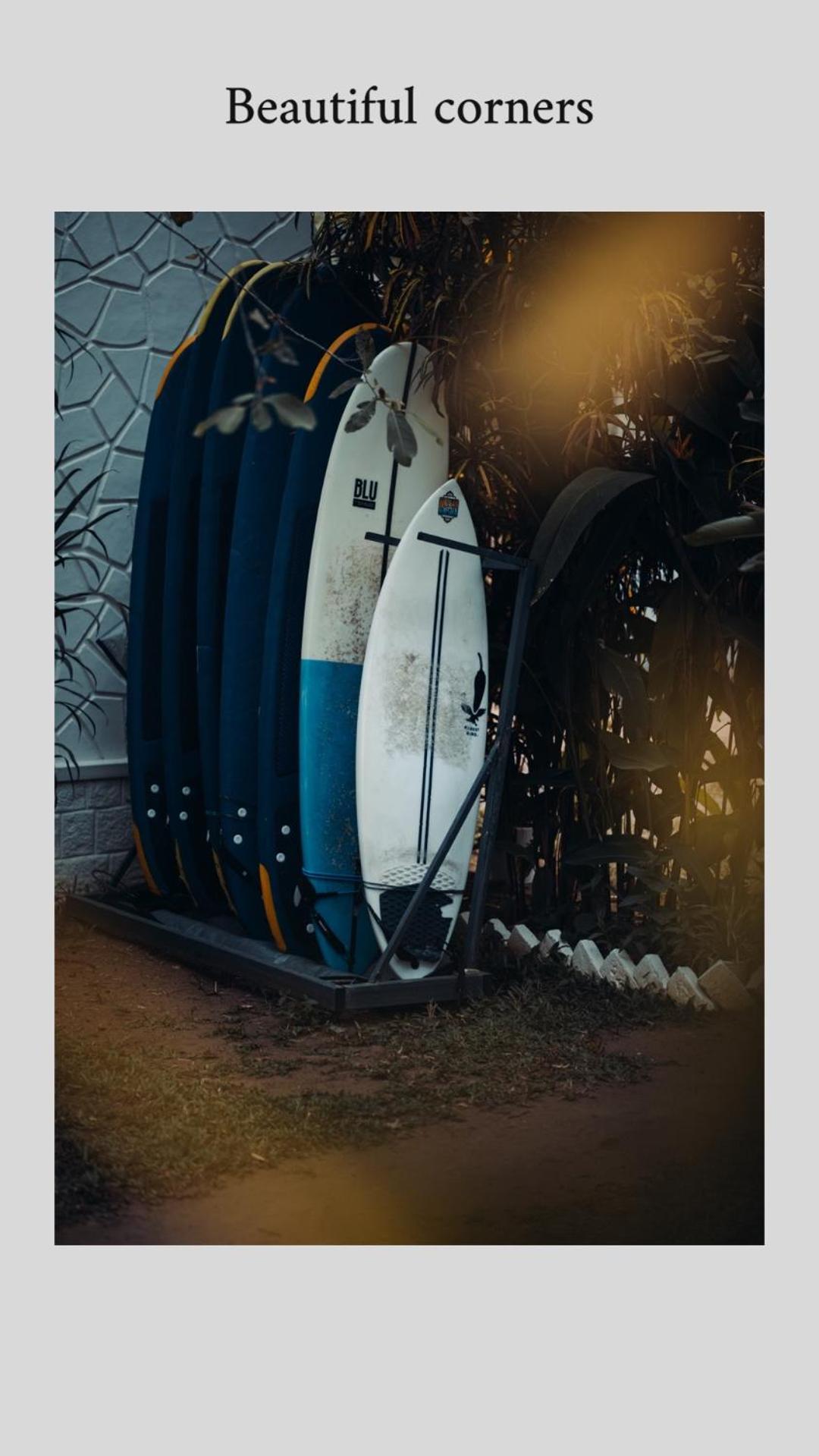 Paddlecult Surf Retreat Bed & Breakfast *