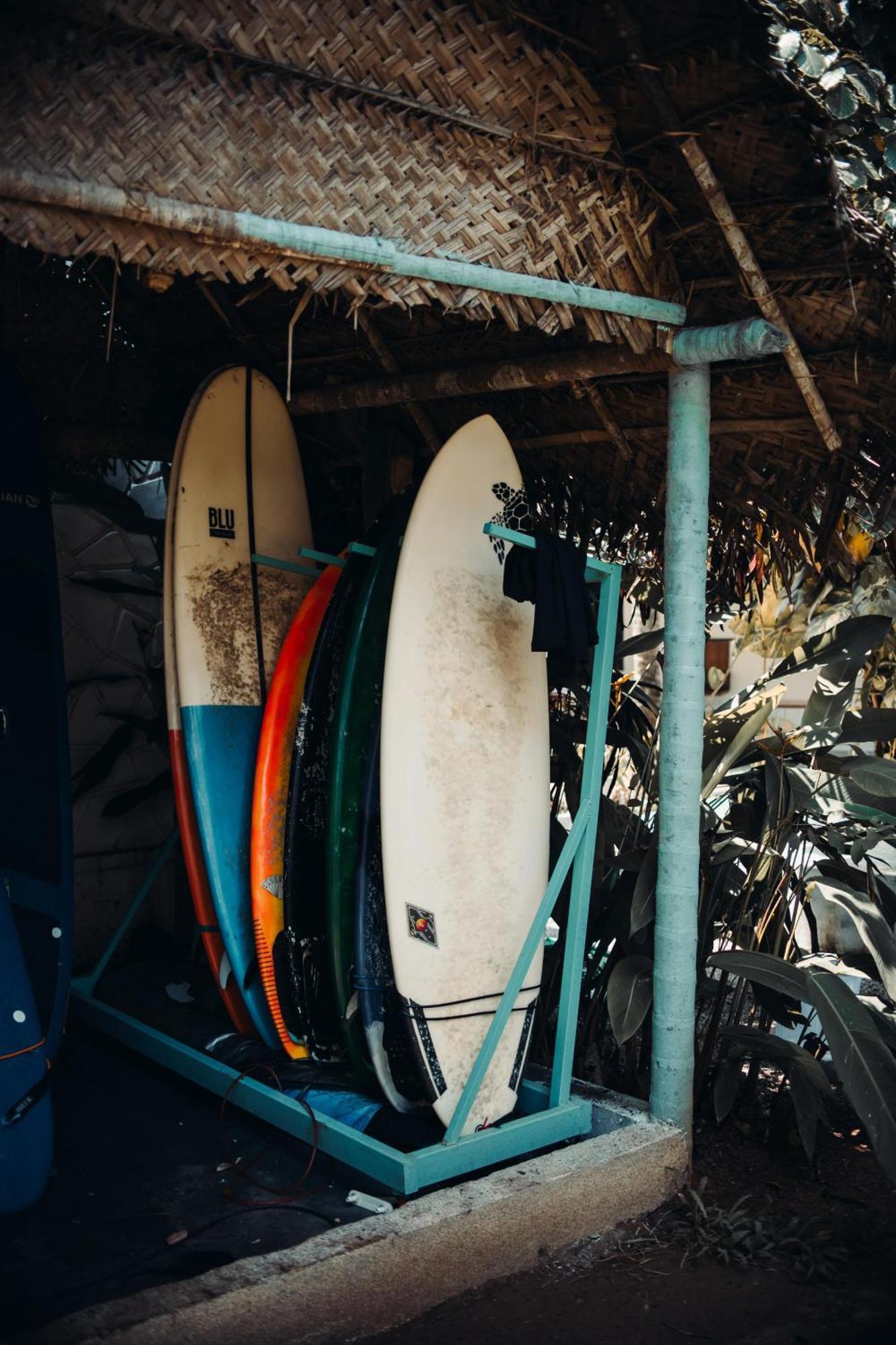 Paddlecult Surf Retreat Bed & Breakfast Varkala