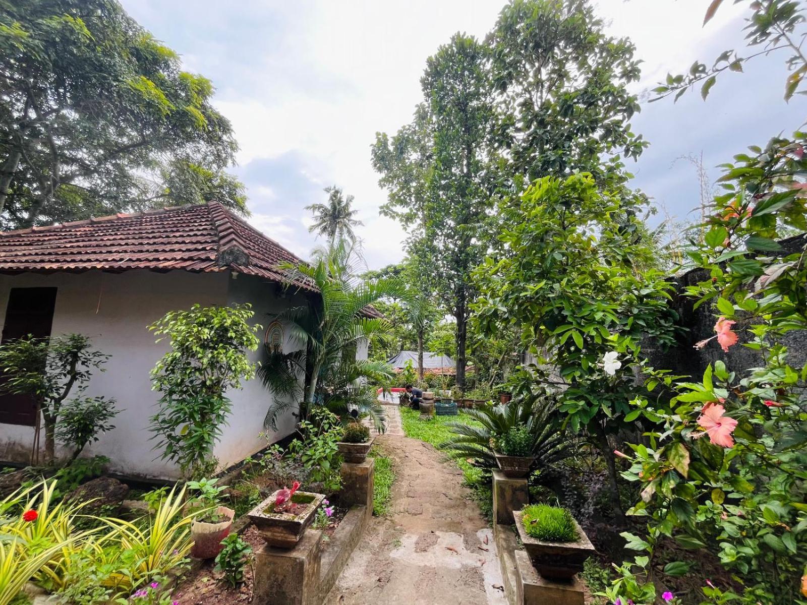 Homestay Sea Splendour