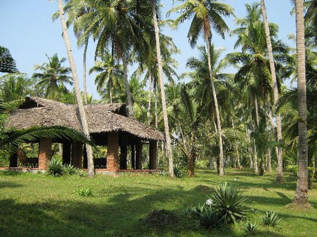 Mektoub Beach Varkala