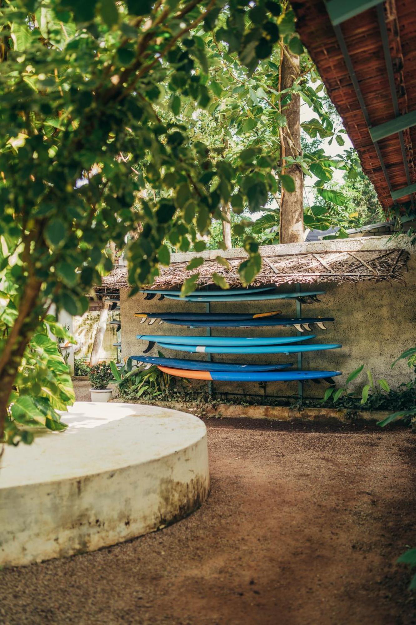 Paddlecult Surf Retreat Bed & Breakfast