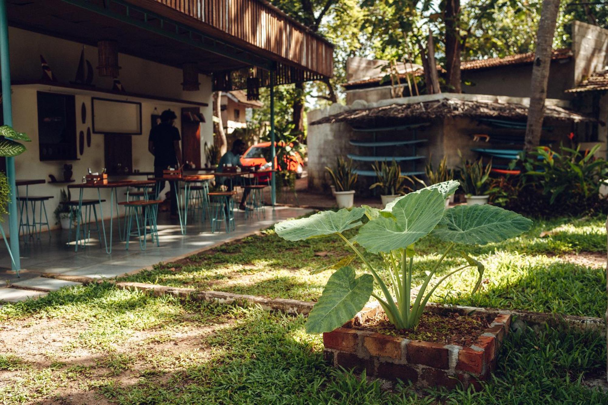 Paddlecult Surf Retreat Varkala