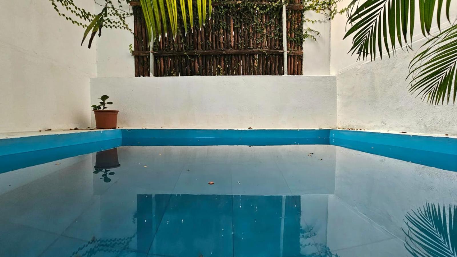 Hotel Calaila Premium Plunge Pool