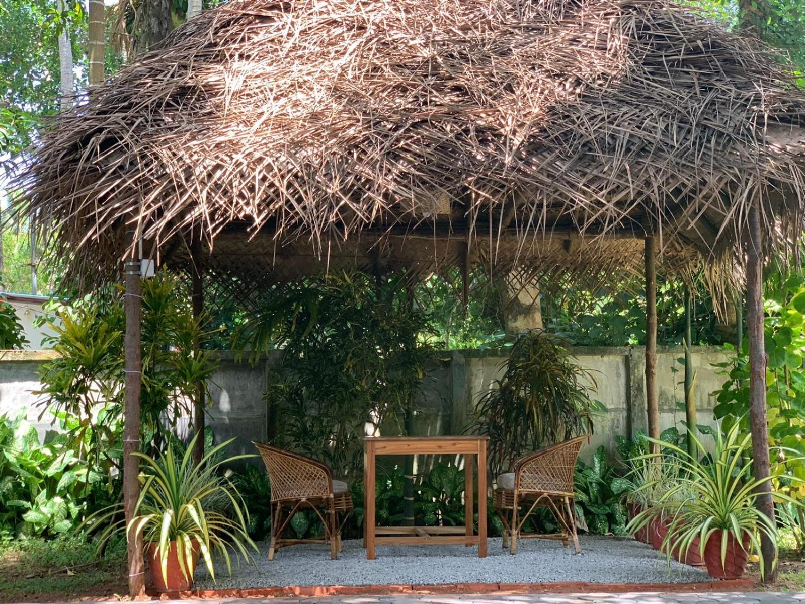 Tattwamasi Ayuryoga With Breakfast And Yoga Varkala