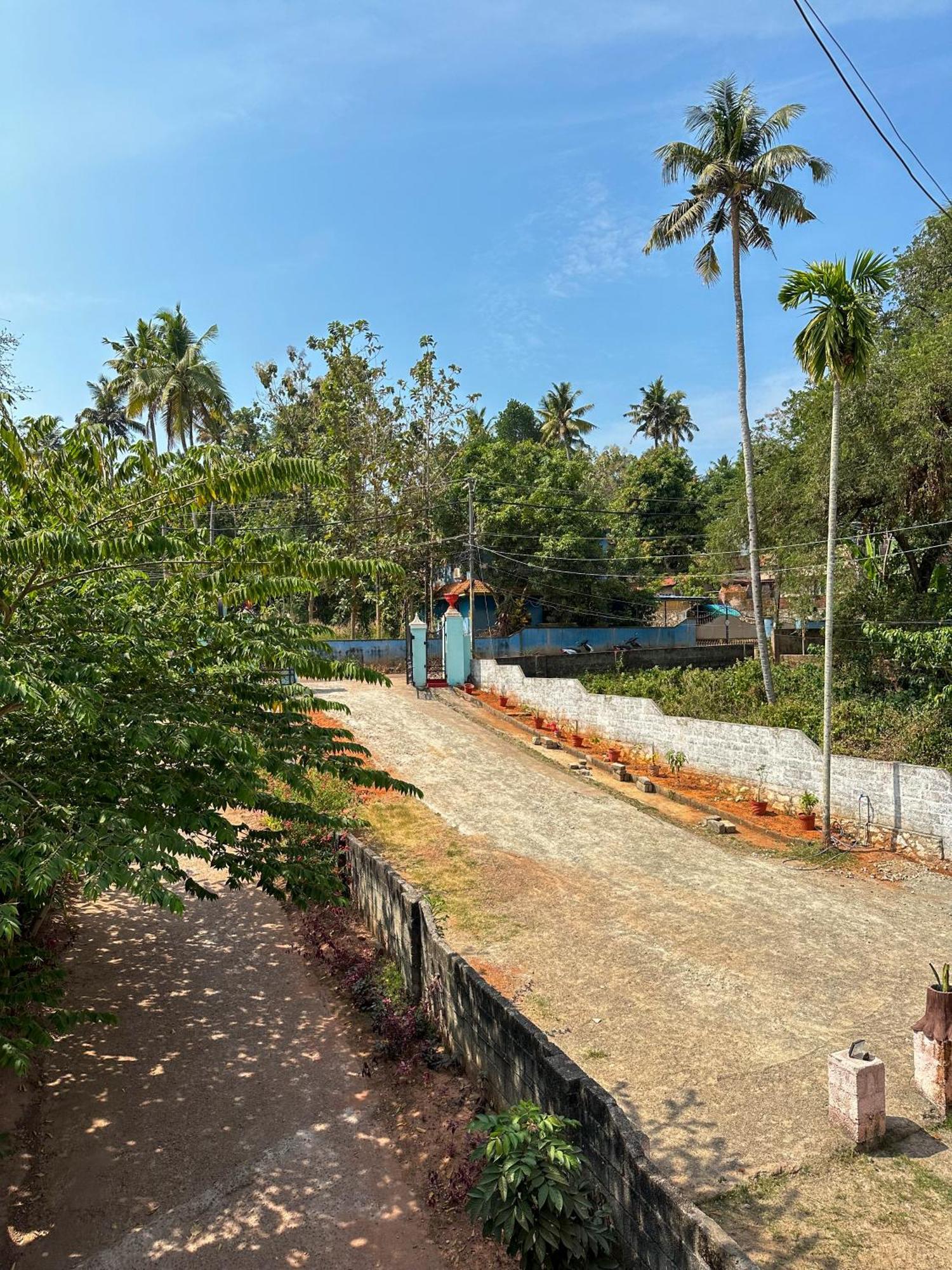 Molly's Hostel Varkala