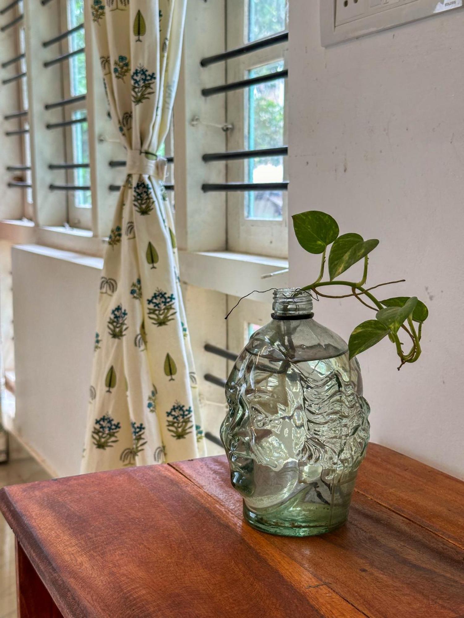Molly's Hostel Varkala