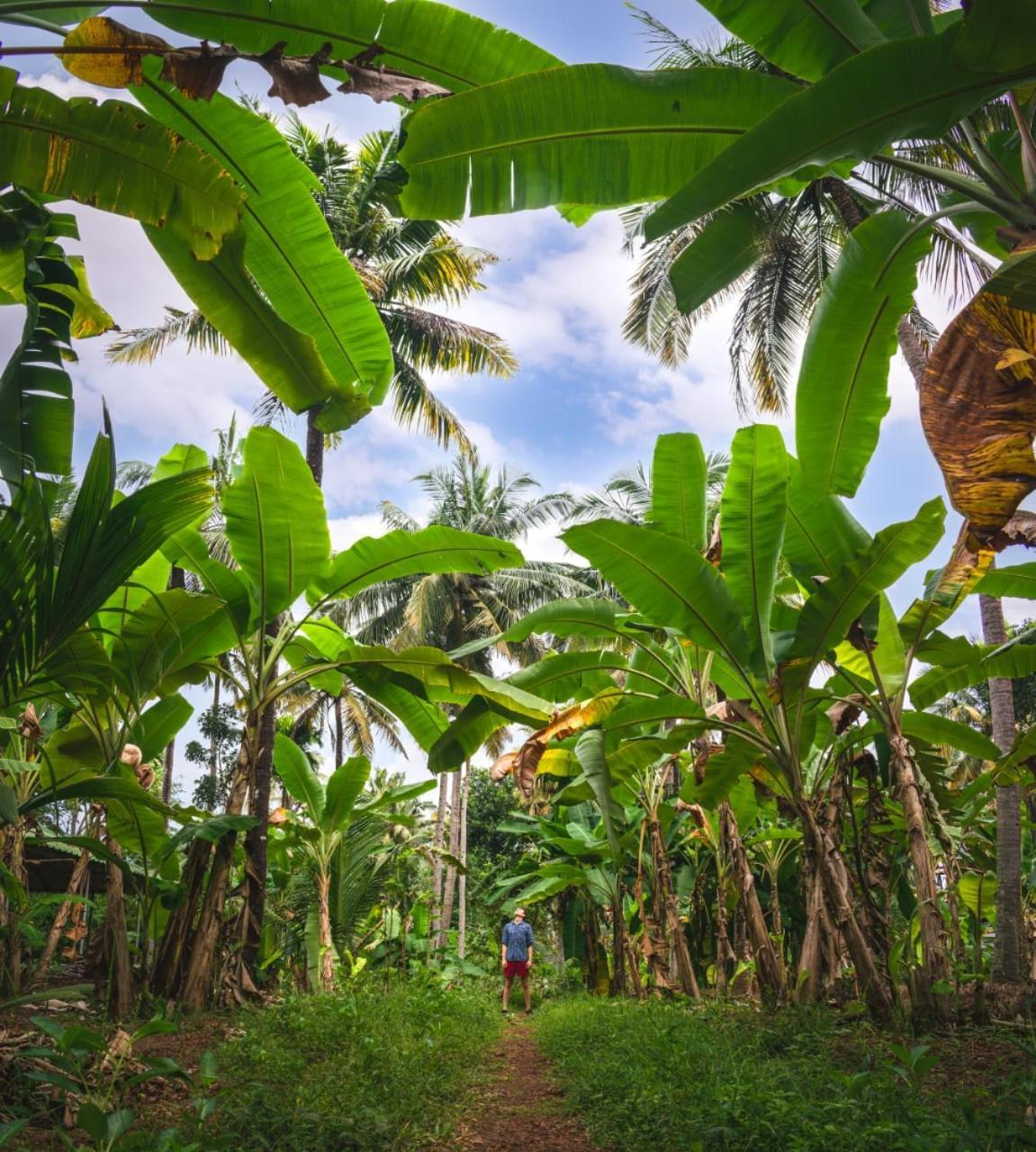 Secret Paradise Farm *
