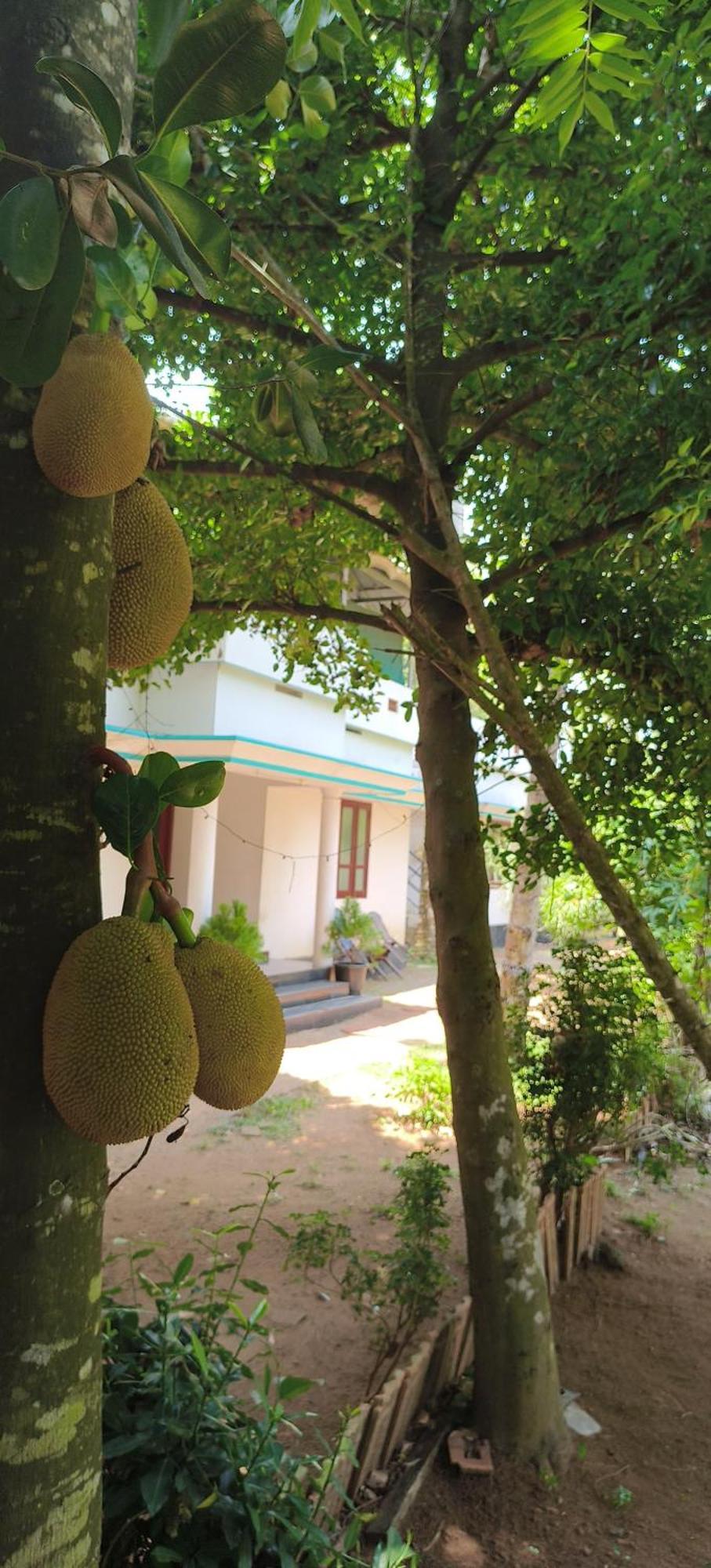 Secret Paradise Farm Farm stay *
