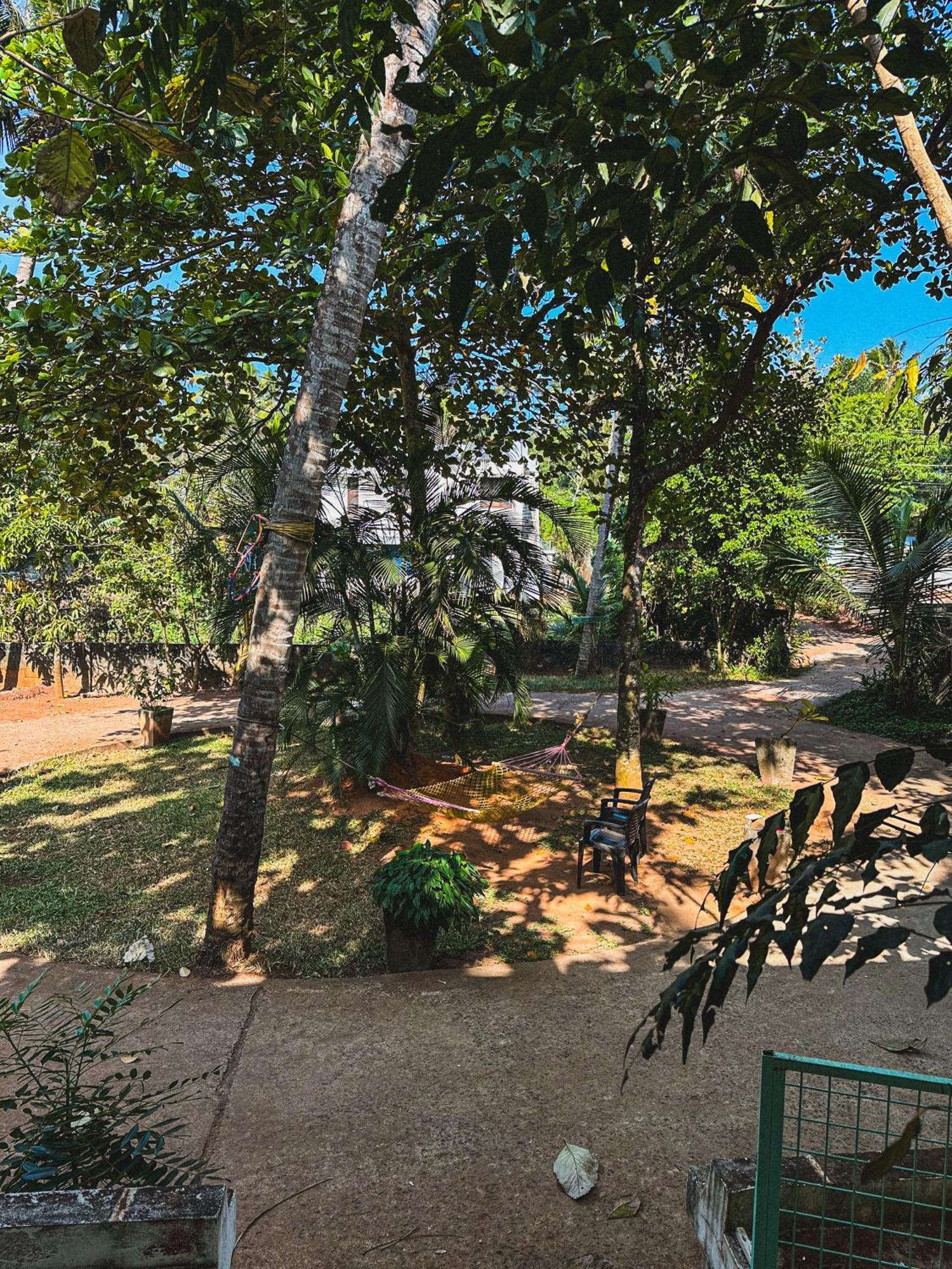 Molly's Varkala