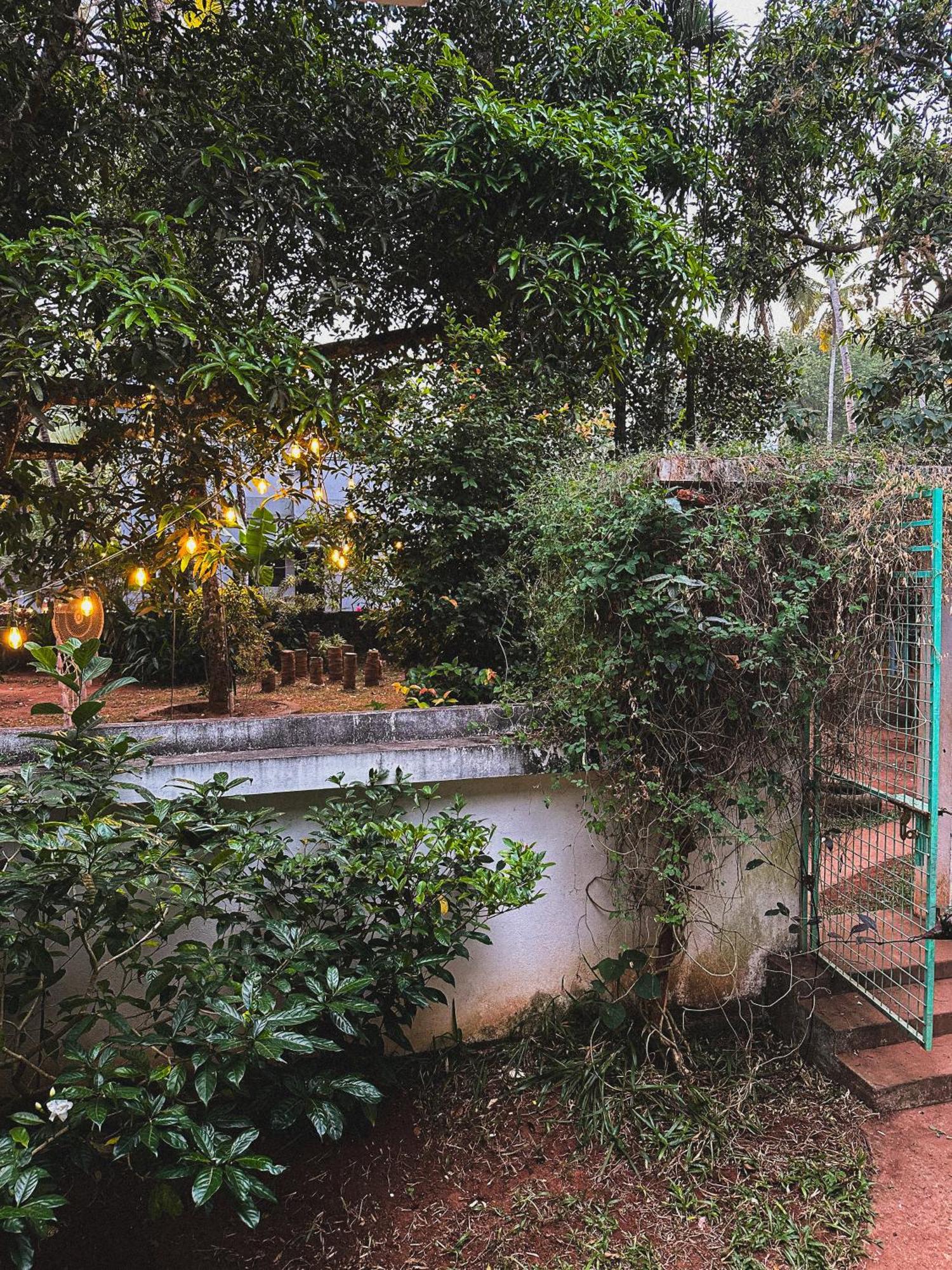 Molly's Hostel