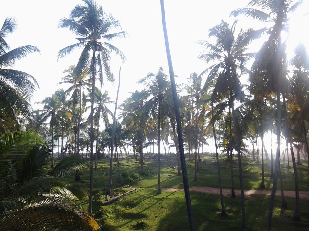 Mektoub Beach Varkala