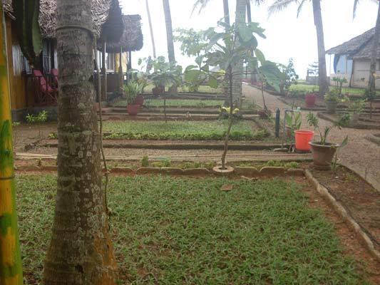 Homestay Bamboo Village