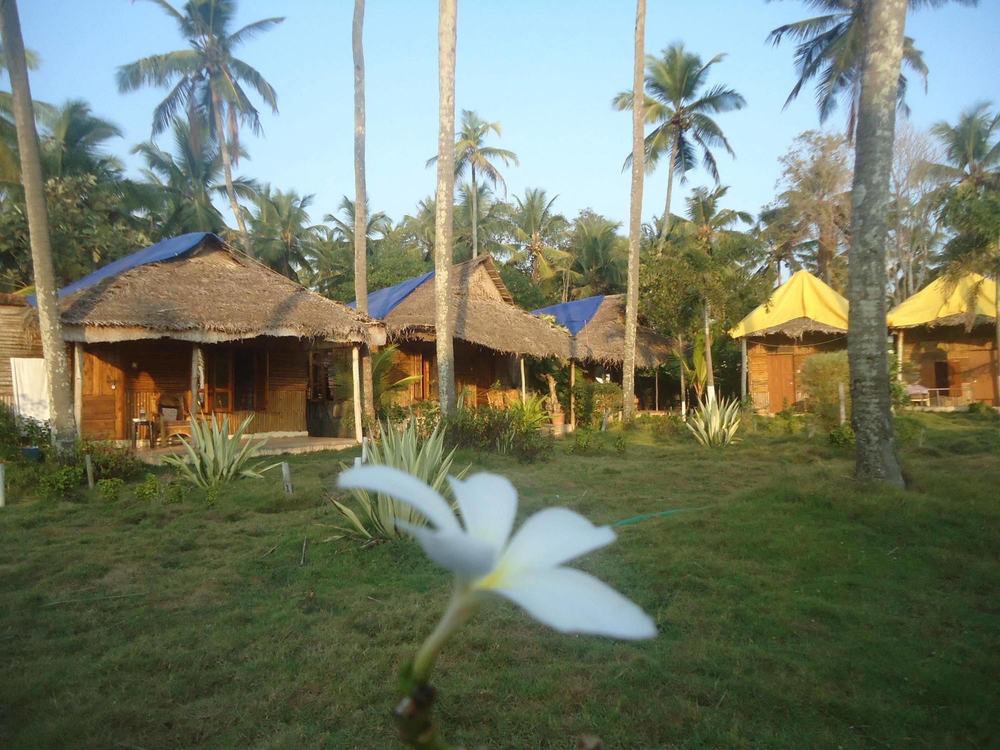 Homestay Bamboo Village *
