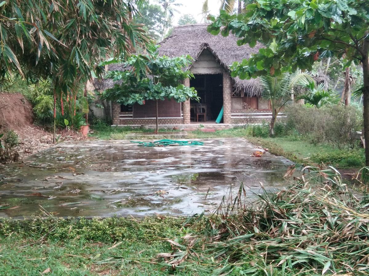 Natural Resort *