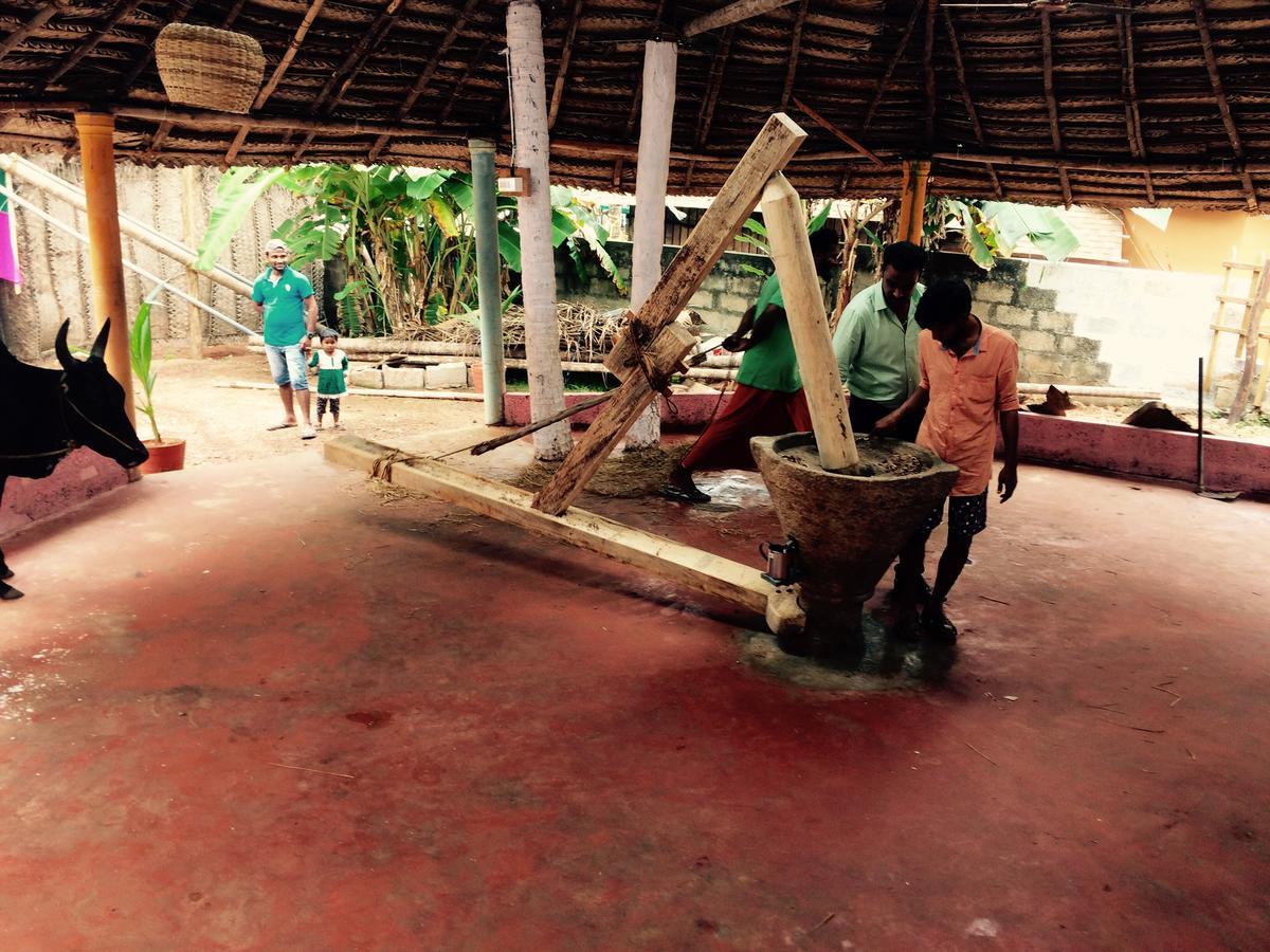 Seawin Beach Varkala