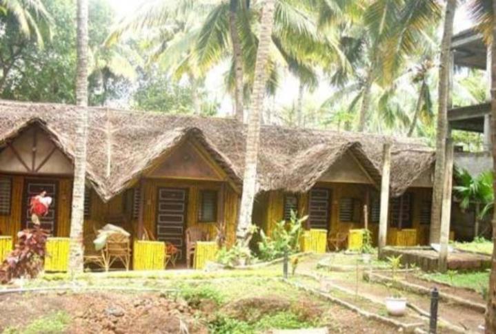 Bamboo Village Homestay
