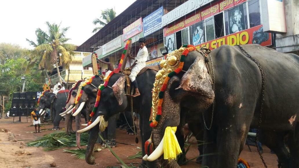Anandan Tourist Hotel Varkala