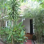 Mint Inside Garden