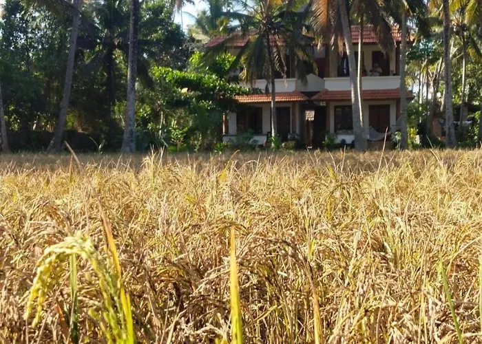 Paddy Farm House