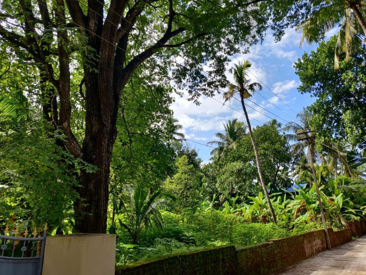 Mavila Resort, Kerala's Heritage Temple