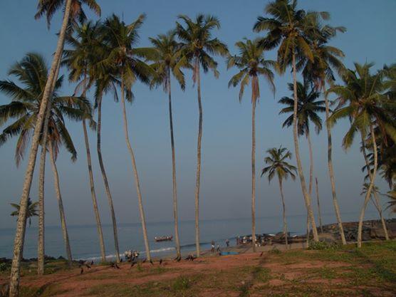 Hotel Oceanic Residency Varkala