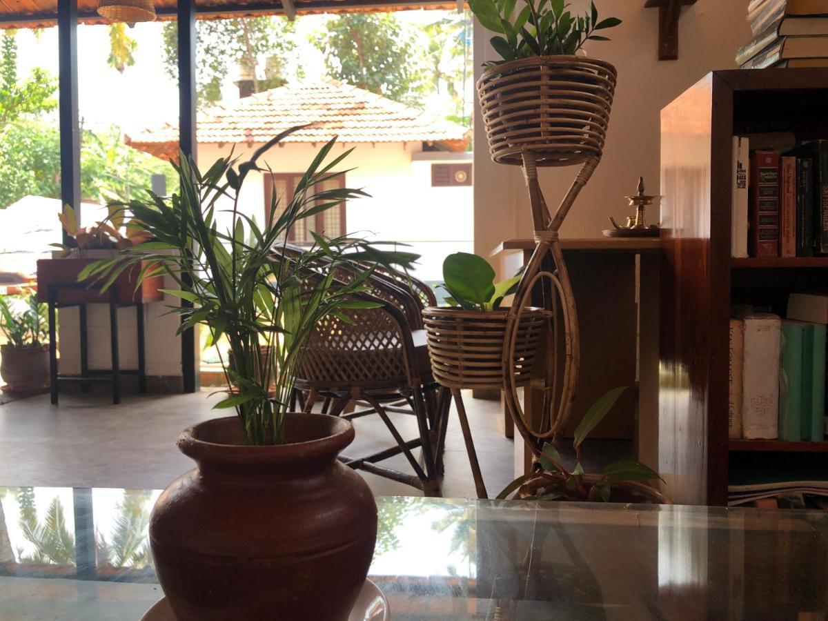 Dolphin Bay Guest house *