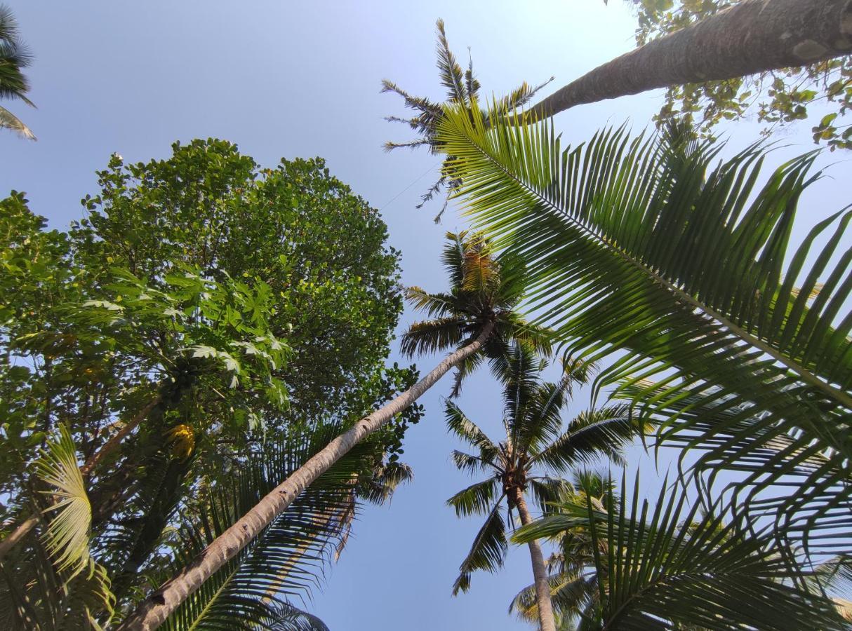 Mavila Resort, Kerala's Heritage Temple Villa *