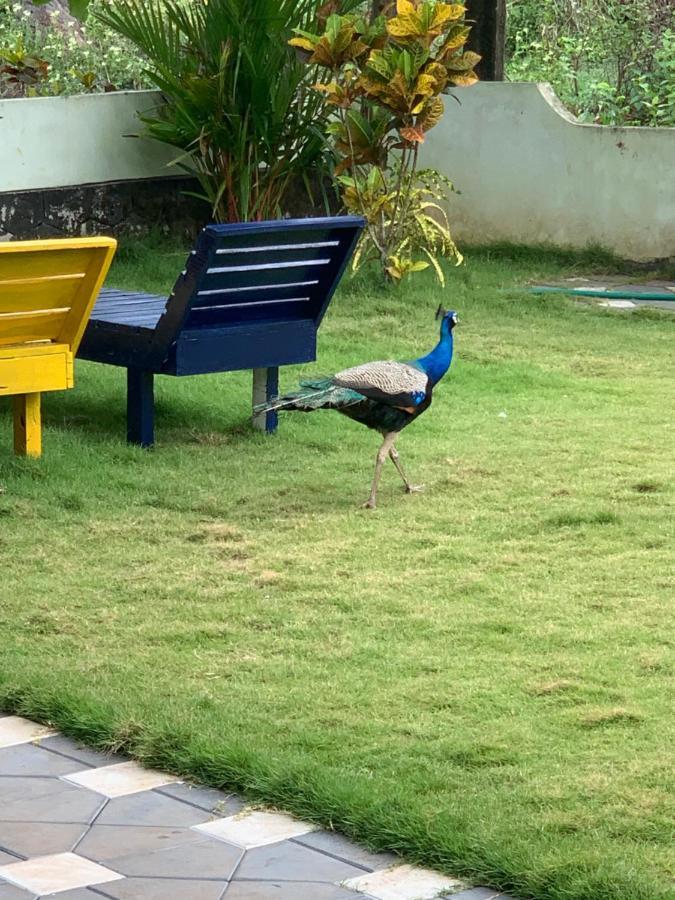 Royal Kazbay Varkala