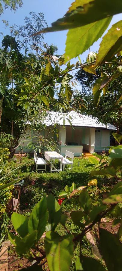 Baba Luru's Varkala