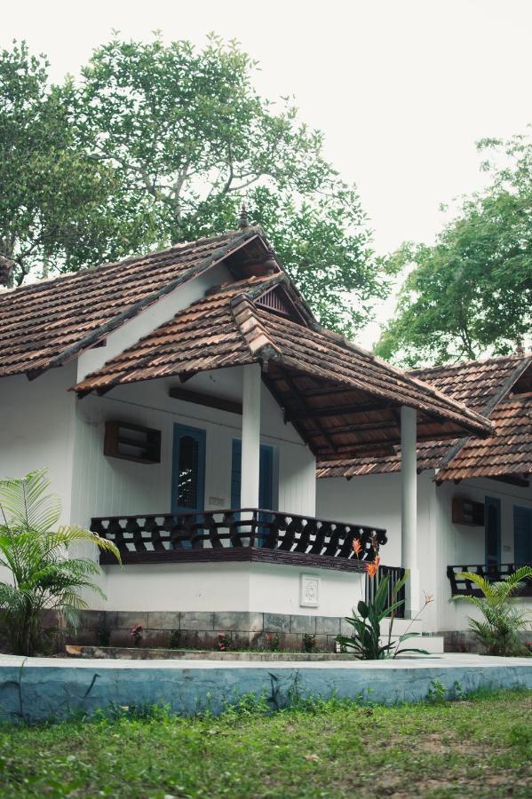 Homestay La Maison *