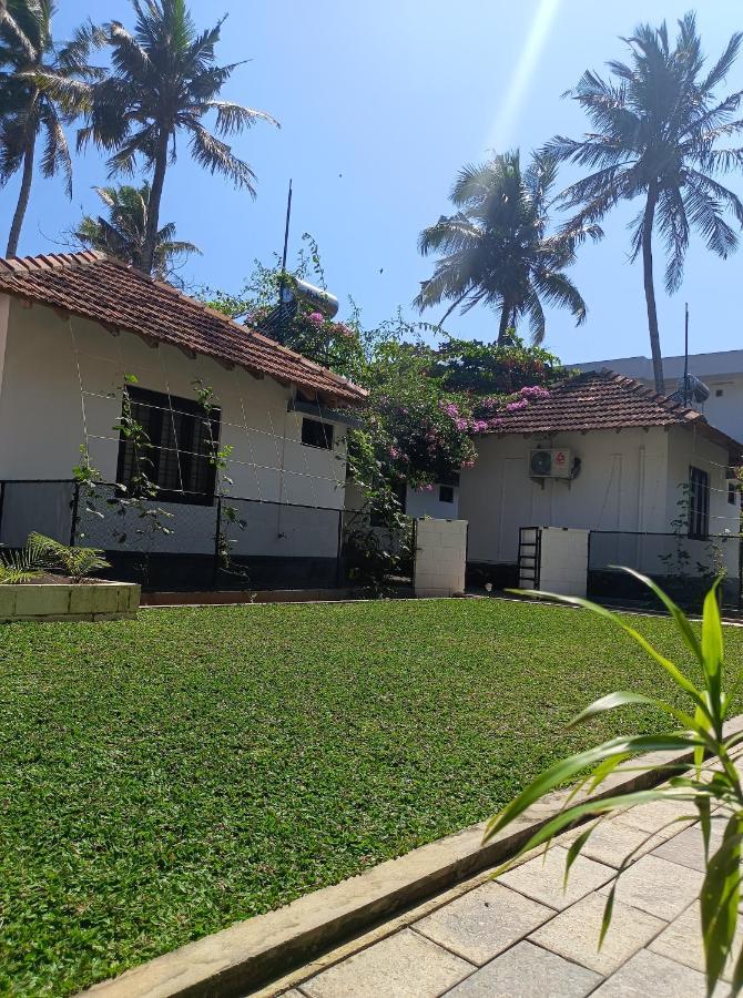 Dolphin Bay Guest house Varkala